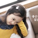 머리꾸미기 이미지