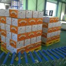 남밀양농협 초동지점 이미지