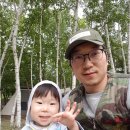 설하관광농원 | 설하관광농원 / 캠핑장 / 자작나무 / 리빙쉘