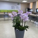 봉명동행정복지센터 이미지