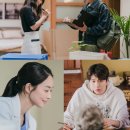 갯마을차차차 이미지