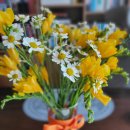 위다고 | 부산 동래 위내시경 후 눈에 멍, 목아픈 후기 (식단,금식시간)