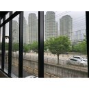 퍼피스테이 네이버블로그