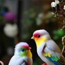 너참예쁘다 이미지