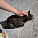 조양생구이 이미지