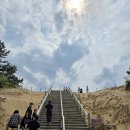 [요나고]요나고 여행에서 가볼만한곳 - '일본의 사막'으로 유명한 돗토리 사구(鳥取砂丘) 갔다온 후기