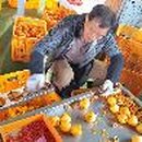 상시동1리 이미지