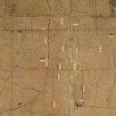 대민약국 이미지