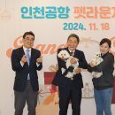 라운지펫 이미지