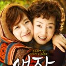 애자 이미지