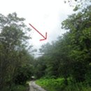 무릉도원면-46 이미지