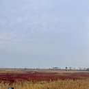 천일염힐링캠프 이미지