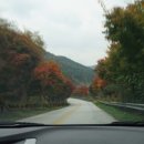 달빛이 머문 펜션 이미지