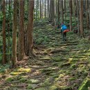 길 위에서 만나는 세계 문화 이미지