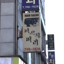 시선은 춤을 추듯 머물 곳을 찾네
