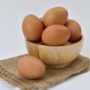 [인하대역 필라테스] 5kg 빠진다는 계란다이어트 재유행! 추천? 비추천 ? /용현동 필라테스 /인하대...