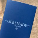 260419 세븐틴 도겸 승관 DxS 유닛 콘서트 소야곡 후기 (4) <잊을 수 없는 행복으로만 가득찬 세레나데 🌙>