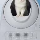 캣 플래닛 이미지