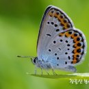 성결과 인간의 연약성 이미지