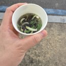 네일팜트리
