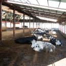 계룡산목장 이미지