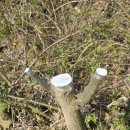 창유마을 이미지