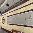 ㈜뉴부자관광 | ✨호주신혼여행✨1일차 시드니 : 쿠지비치, 브론테비치 코스탈워크, 본다이비치, 왓슨스베이