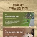 셋씨앗