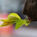 해피태양광발전소 이미지