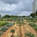 기흥2농장 이미지