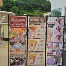 햇빛 담은 썬 캐처 | [정선]하이원리조트 워터월드 내돈내산 후기 (먹거리/이용방법/준비물)