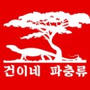 건이네파충류&카페