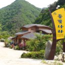 인제 들꽃펜션 이미지