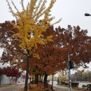 화랑유원지건너편 이미지