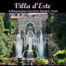 장에스테 이미지