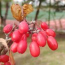 자비손한의원 이미지