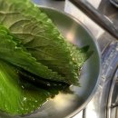 7프로칠백식당 이미지