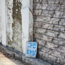 수목다실 이미지