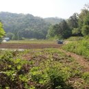 내곡농장 이미지