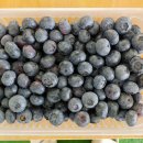 첫골농장 이미지