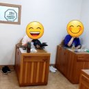 스마트점핑다이어트