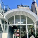 홍대 합정 삼다코지 제주도 콘셉트 핫플 카페 내돈내산 후기