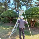 울진정비 이미지