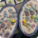 내서읍121 이미지