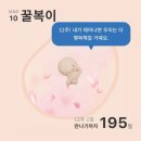 수원랜드 이미지