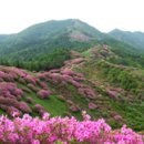 지리산목장 이미지