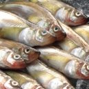 웰빙수산물 이미지