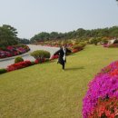 대진요양병원 네이버블로그