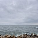 바라본바다
