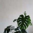 괴정농장 이미지